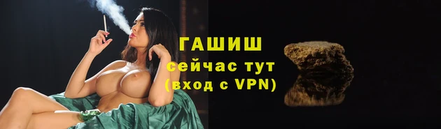 ECSTASY Лабытнанги