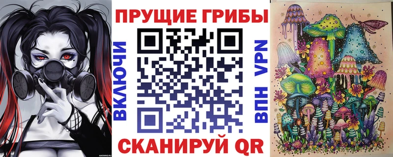 Купить Комсомольск-на-Амуре Галлюциногенные грибы прущие грибы